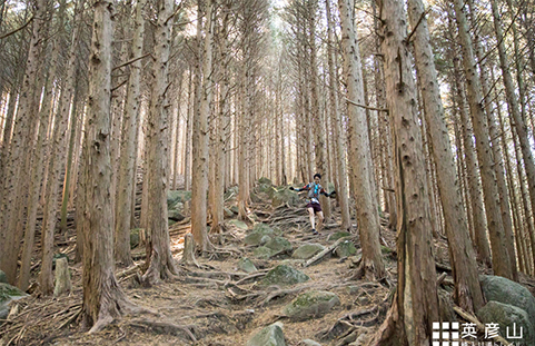 第6回 英彦山峰入り道トレイル